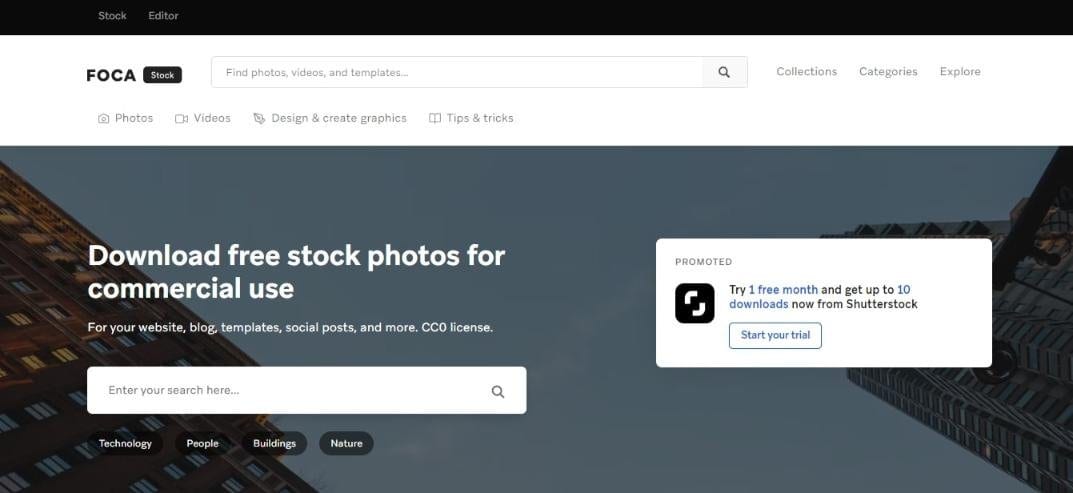 Foca Stock Best Free Stock Images Sites