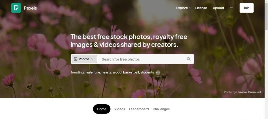 Pexels Best Free Stock Images Sites in 2024